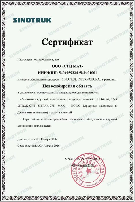 SINOTRUK INTERNATIONAL